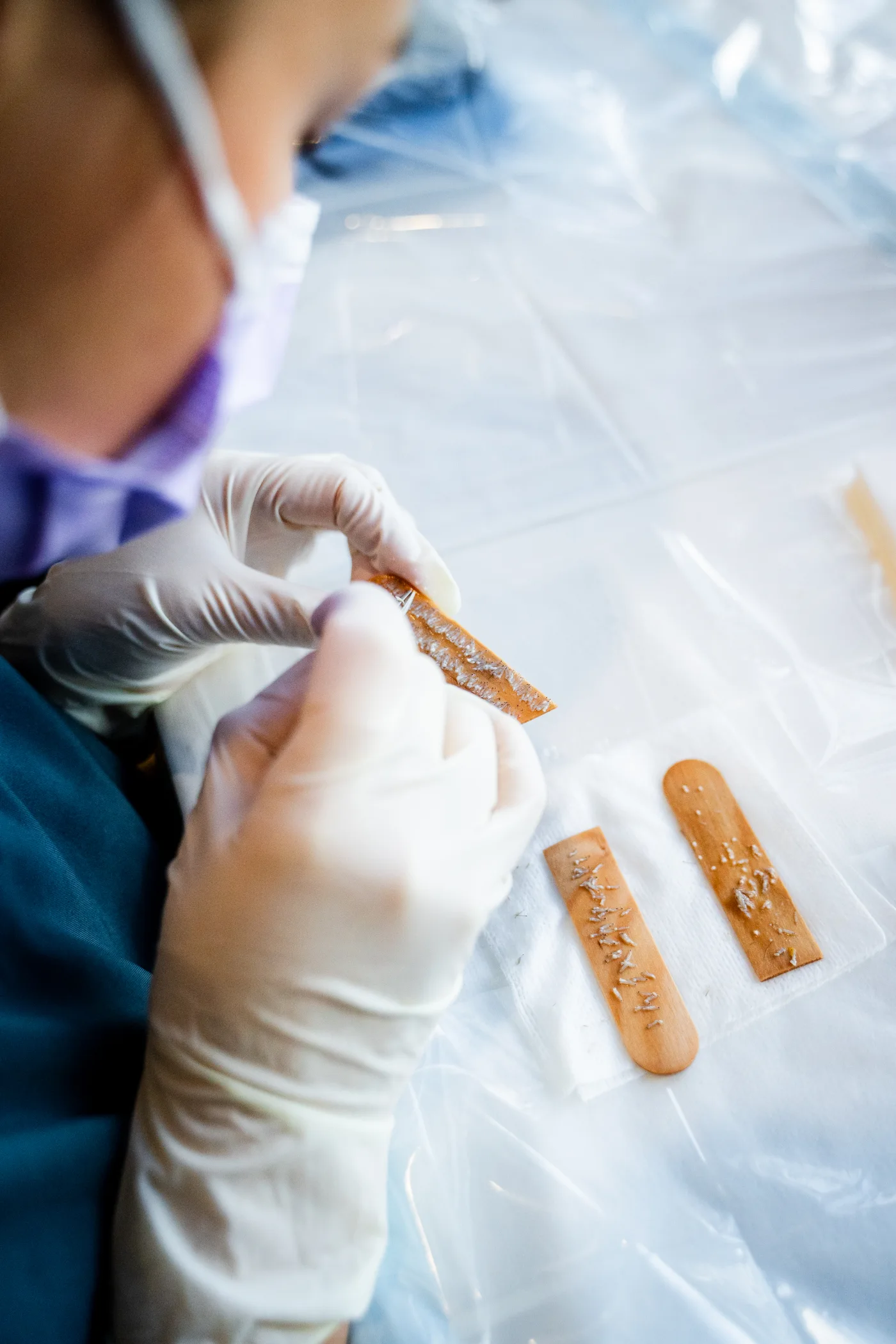 Elite Hair Clinic 20