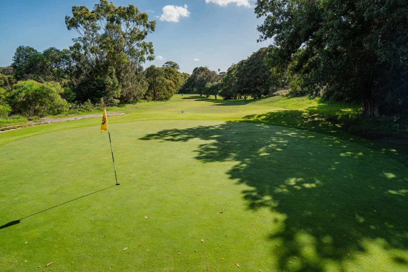 Marrickville Golf 4